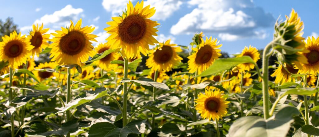 Doorbreek negatieve verbindingen - Zelfreflectie