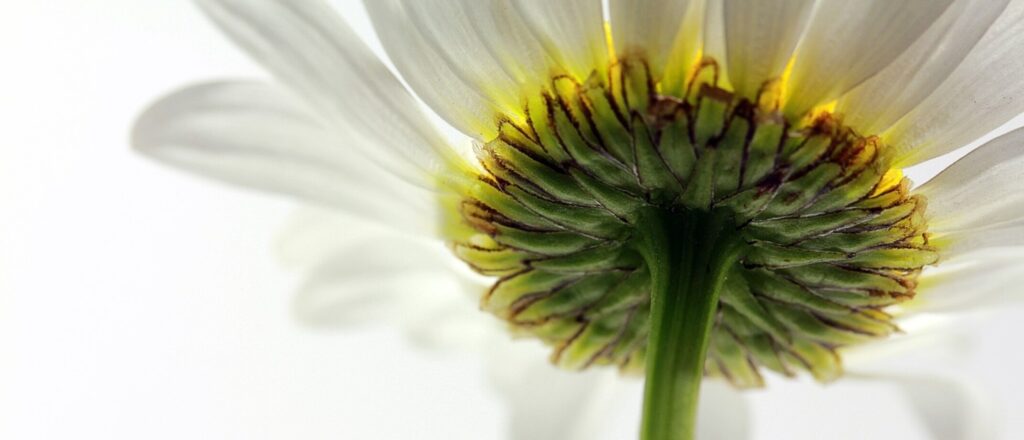 Creëer positieve verandering - Relaties verbeteren