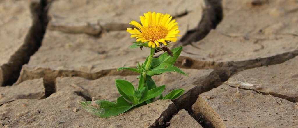 Creëer positieve verandering - Mindset shift