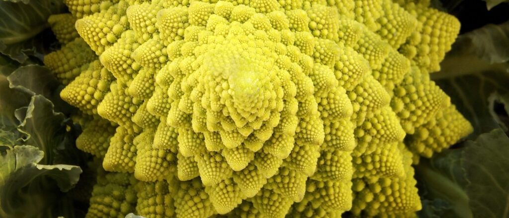 Creëer positieve verandering - Persoonlijke groei