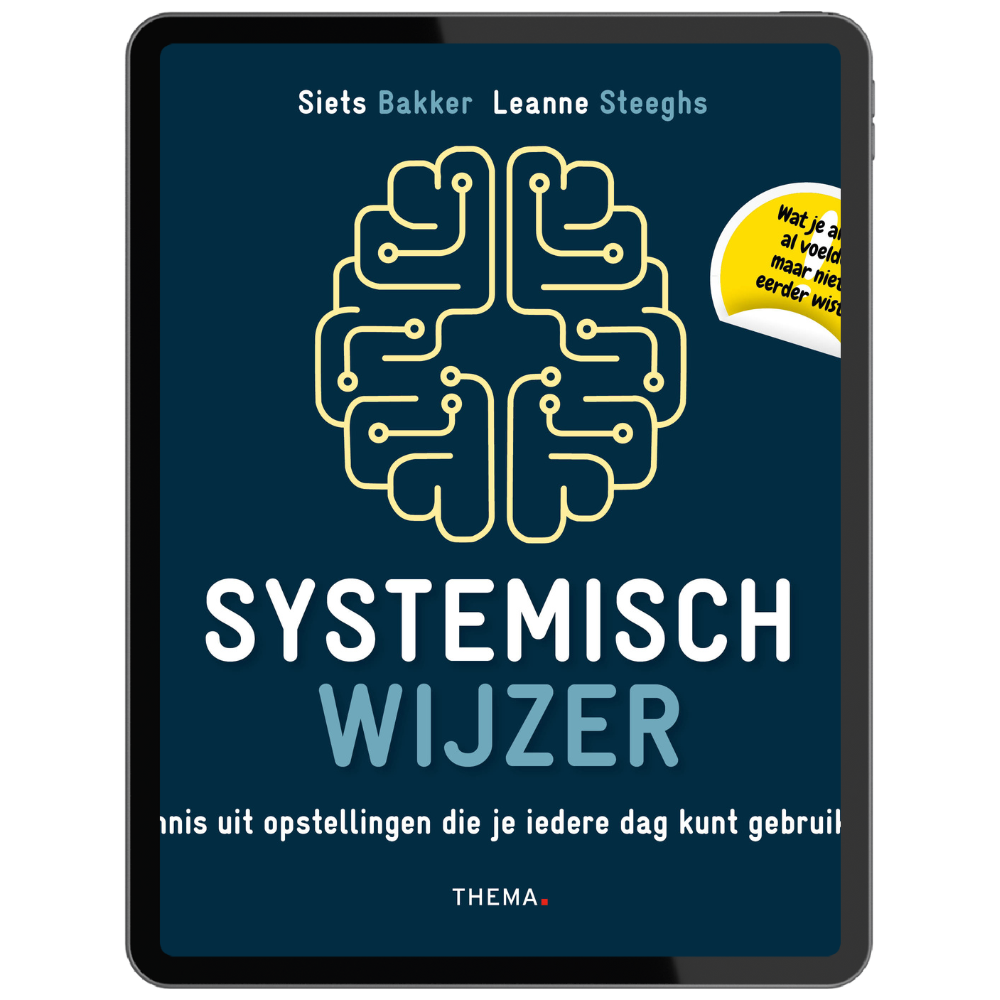 e-book van systemisch wijzer